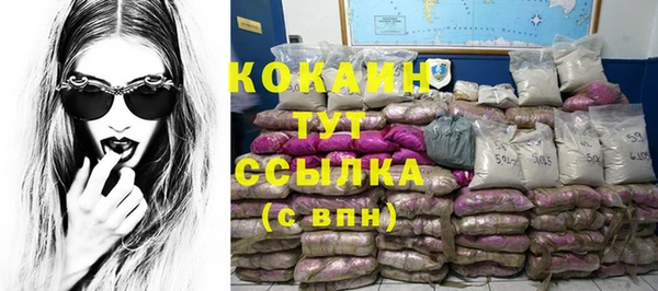 стафф Кинешма