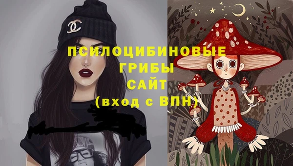 стафф Кинешма