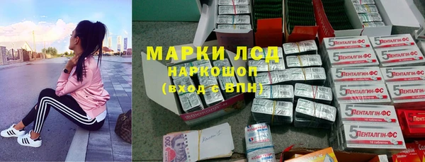 spice Карпинск