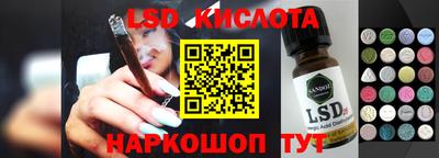 spice Камышлов