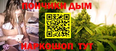 spice Камышлов