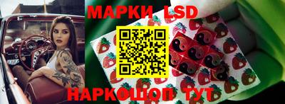 Альфа ПВП Кандалакша