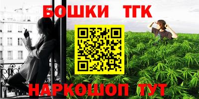 spice Камышлов