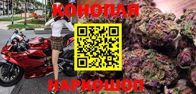 spice Камышлов