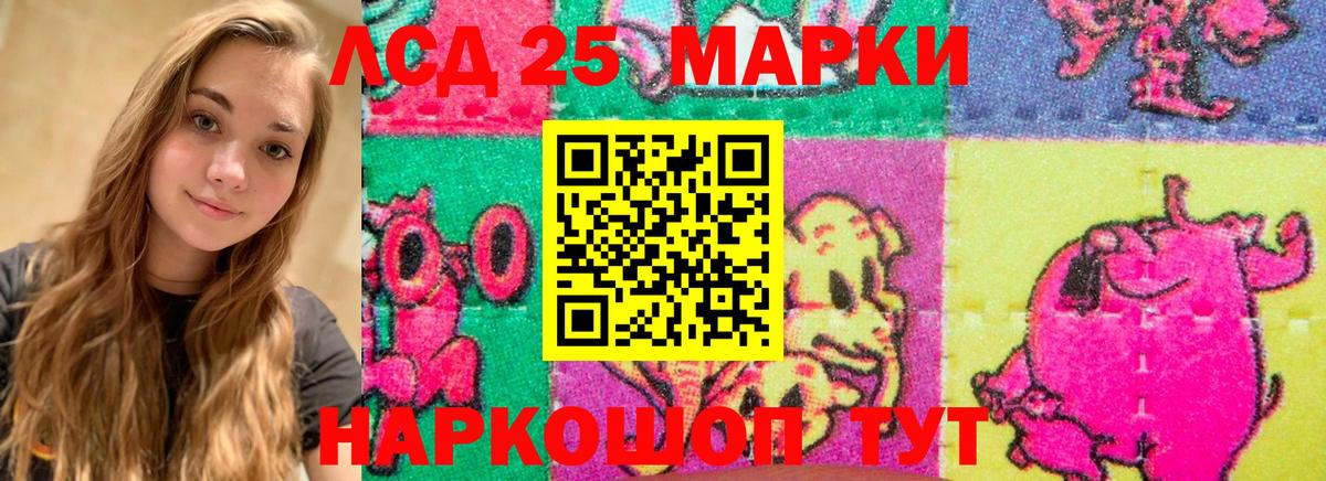 Новозыбков  LSD-25 экстази  Вход с VPN  LSD-25 экстази ecstasy 