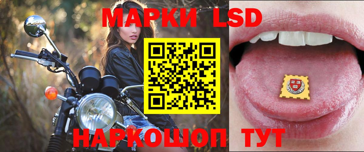 ЛСД экстази ecstasy Новозыбков