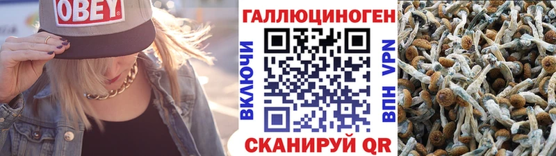 Галлюциногенные грибы мицелий Новозыбков