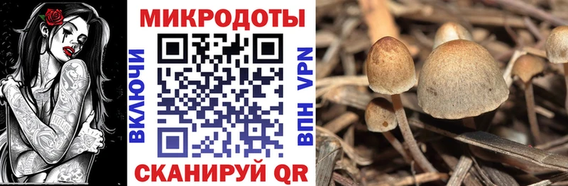 Псилоцибиновые грибы MAGIC MUSHROOMS  Новозыбков 