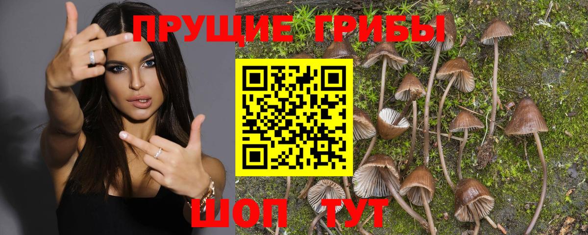 МЕФ   АМФЕТАМИН   COCAIN  Метамфетамин  Новозыбков  Конопля  ГАШ  Вход с VPN 