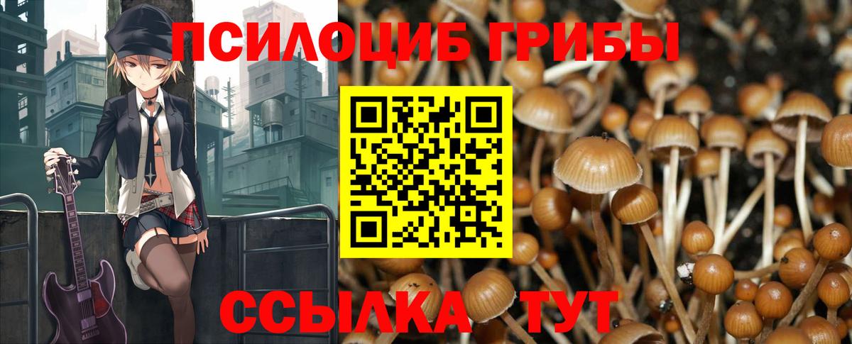 Новозыбков  Галлюциногенные грибы Cubensis  Вход с VPN 