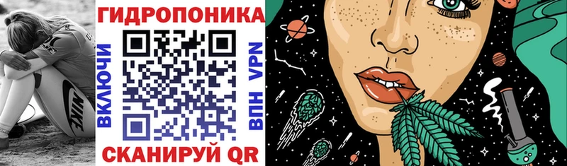 Бошки Шишки план  Новозыбков 