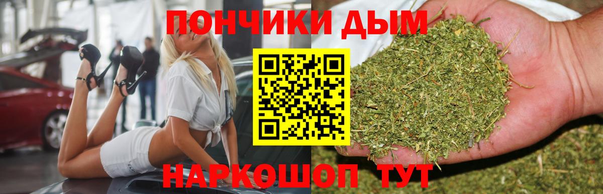 МАРИХУАНА план  Вход с VPN  Новозыбков  Шишки марихуана индика  Бошки Шишки Ganja  Марихуана индика 